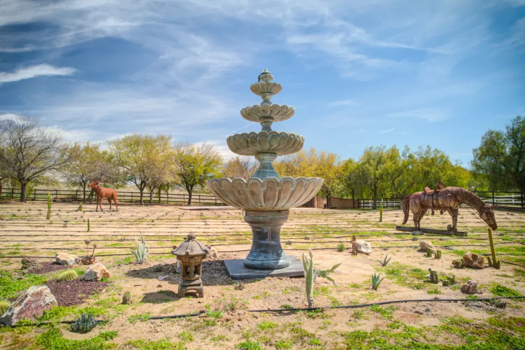 AGUA DULCE 16